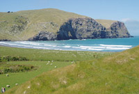Hickory Bay