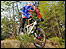 Sebastian Batchelor in Dalby Forest