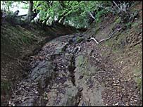 The green lane