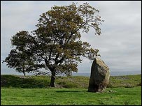 Trees grow on raised ground surrounding this ancient centre stone at Mayburgh Henge, near Eamont Bridge. Jo Jessop  