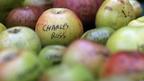 Apples