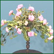 crescent