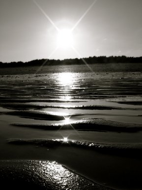 Summer Beach