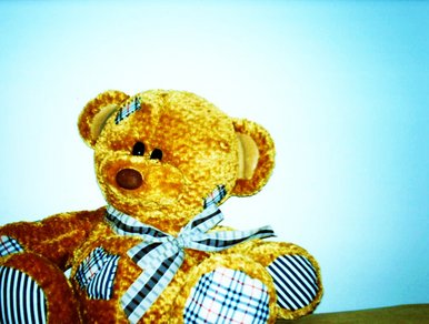 Teddy