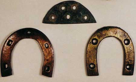 horse shoes