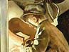 'Shipbuilding on the Clyde' by Sir Stanley Spencer