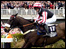 Grand National