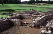 A photo of the dig site at Lugnano