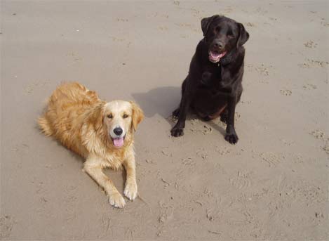 Rolo and Fudge