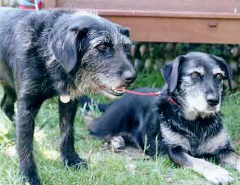 Dillon and Lola