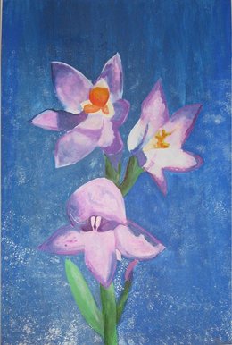 Orchid