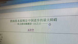 王小宁网文
