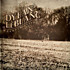 Review of Paupers Field 