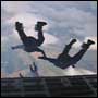 The RAF Falcons parachute display team