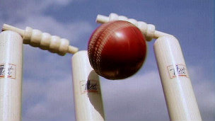 Cricket stumps
