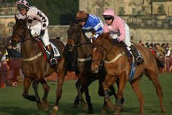 Horse Racing