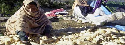 بالا کوٹ