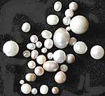 Some of the freshwater pearls  collected by Jim Sloan