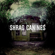 Review of Canines