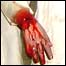 گزشتہ چند برسوں کے دوران پاکستانی فوج کو تشدد کے مختلف واقعات سے نمٹنا پڑا ہے