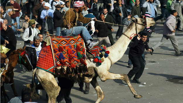 الجمل