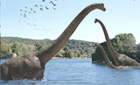 The mystery of the jursassic
