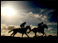 Cheltenham Gallops on Sunday 9 March (Getty image)