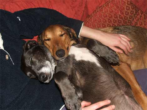 Ebony and Boris