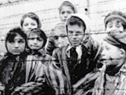 Genocide