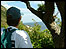 Looking along the coast in East Devon