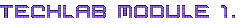 Techlab Module 1