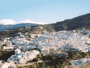 Competa