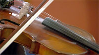 violin
