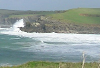 The Reef
