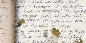 Damian's journal