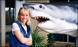 Shark