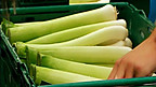 The Leek -  Emblem of Wales