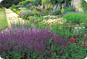 Traditional herbaceous