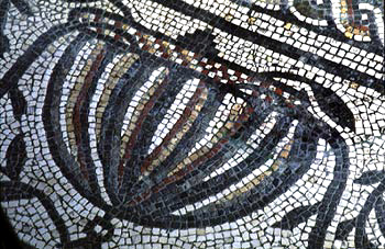 Detail