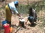 Tanzanian lady doing some cooking