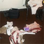 Dressing room aftermath