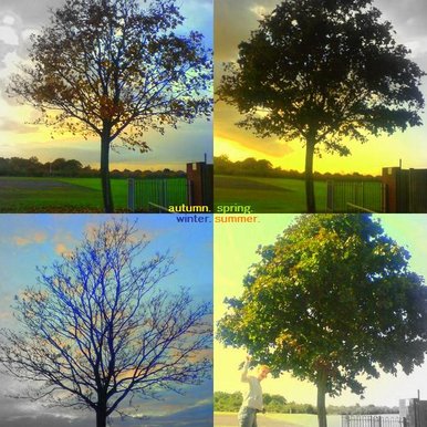 Seasons