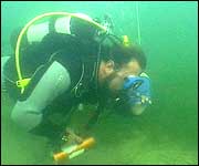 Diver
