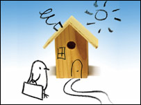 Nest Box Challenge