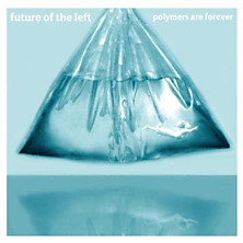 Review of Polymers Are Forever