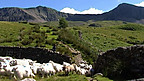 Snowdonia 