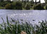 Mayesbrook park