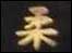 Japanese logo
