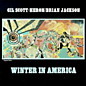 Review of Winter In America