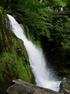 'White Meadow Falls' by Ruth Osborne